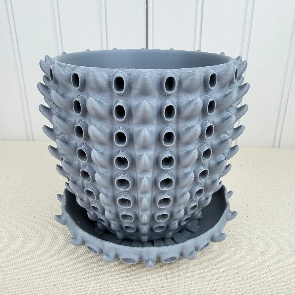 Barnacle Planter Pot, Indoor Flower Pot, Houseplants